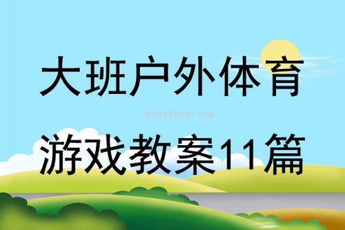 户外游戏活动教案,培养幼儿协作与探索精神的快乐时光