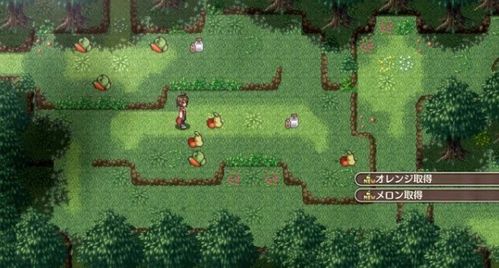 3ds rpg游戏,探索3DS平台上的经典RPG世界