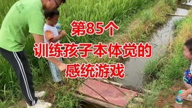 精细动作训练游戏,趣味精细动作训练游戏攻略
