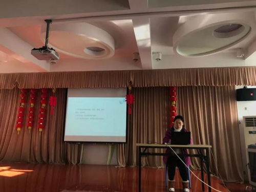 结构游戏案例,结构游戏案例深度解析