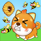 保护狗狗安全  保护狗狗安全